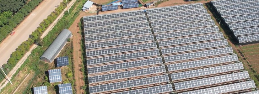 Advogado explica como a justiça pode ajudar os empresários e consumidores com projetos de energia fotovoltaicos paralisados pela CEMIG