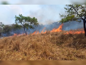 Incêndios florestais deixam lastro de destruição em cinco pontos de Pará de Minas