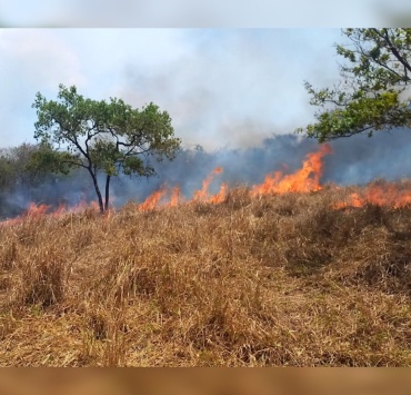 Incêndios florestais deixam lastro de destruição em cinco pontos de Pará de Minas