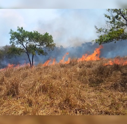 Incêndios florestais deixam lastro de destruição em cinco pontos de Pará de Minas