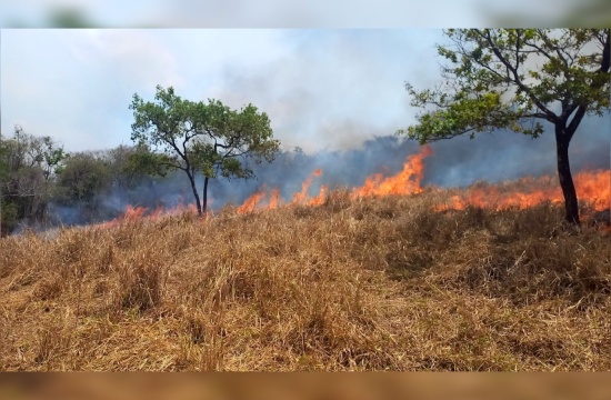 Incêndios florestais deixam lastro de destruição em cinco pontos de Pará de Minas