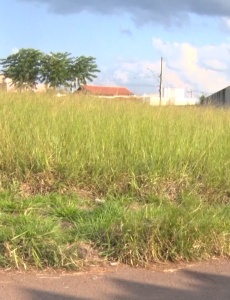 Setor de endemias intensifica punição para proprietários de lotes sujos em Pará de Minas