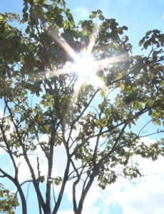 Como se manter saudável diante das altas temperaturas