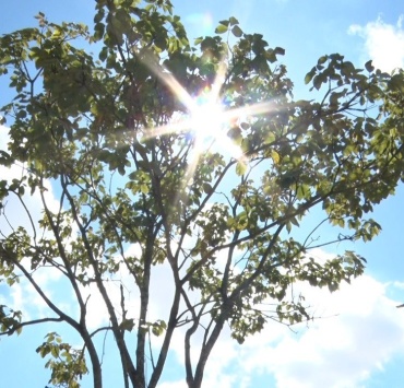 Como se manter saudável diante das altas temperaturas