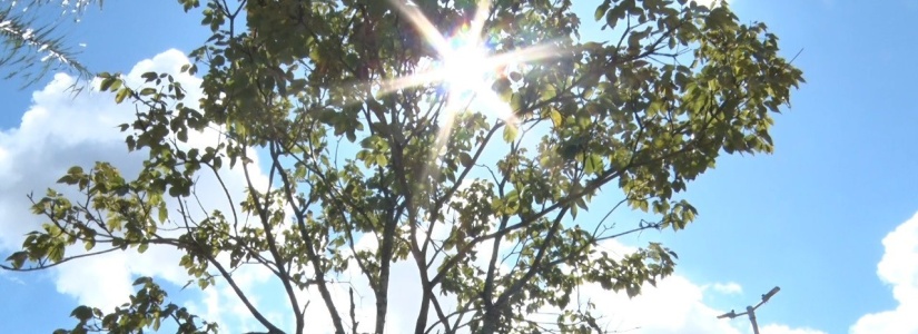 Como se manter saudável diante das altas temperaturas