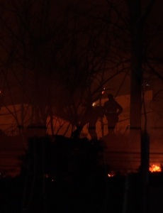 Queimadas destroem boa parte da vegetação dos bairros Cores de Minas e Jardim América