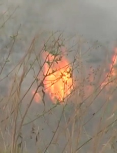 Mais de 1 milhão de consumidores de energia elétrica foram prejudicados por queimadas e incêndios em Minas em 2024