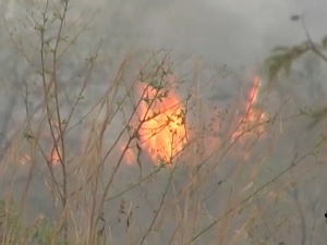 Mais de 1 milhão de consumidores de energia elétrica foram prejudicados por queimadas e incêndios em Minas em 2024