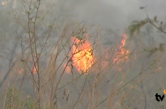 Mais de 1 milhão de consumidores de energia elétrica foram prejudicados por queimadas e incêndios em Minas em 2024