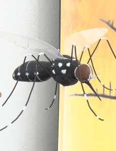 Ações de combate à dengue são levadas a comunidade escolar