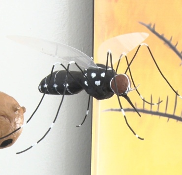 Ações de combate à dengue são levadas a comunidade escolar