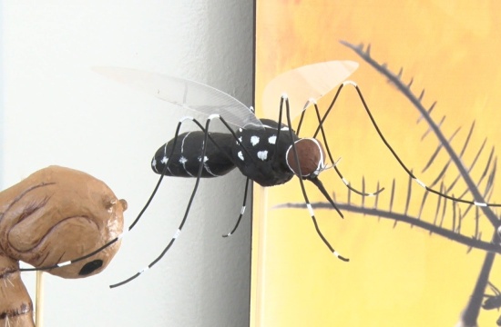 Ações de combate à dengue são levadas a comunidade escolar