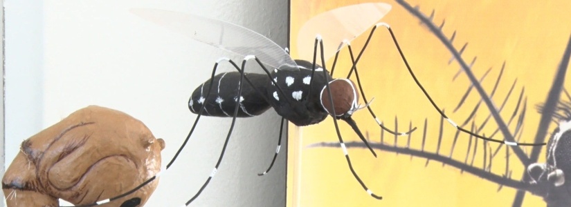 Ações de combate à dengue são levadas a comunidade escolar