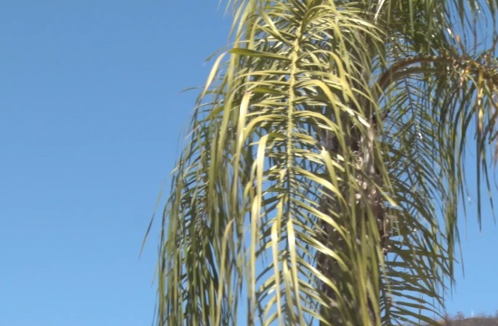 Defesa Civil alerta para riscos da baixa umidade do ar