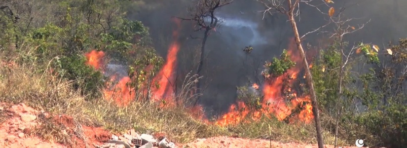 Governo de Minas reforça medidas de combate aos incêndios florestais