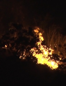 Cemig faz balanço de prejuízos causados por queimadas em Minas Gerais