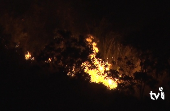 Cemig faz balanço de prejuízos causados por queimadas em Minas Gerais