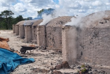 Tecnologia fortalece combate a crimes ambientais em Minas Gerais