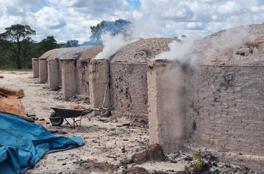 Tecnologia fortalece combate a crimes ambientais em Minas Gerais