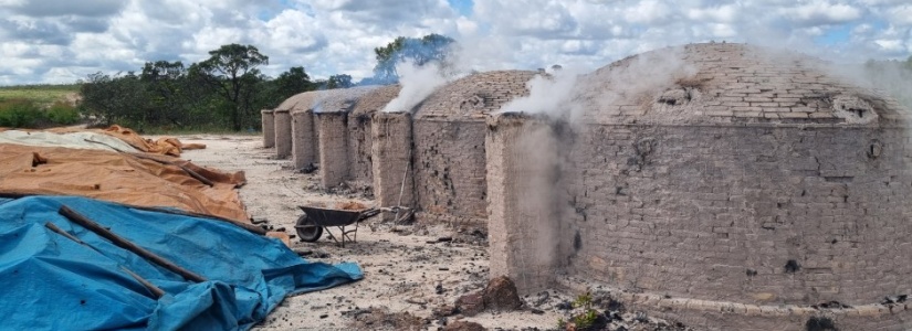 Tecnologia fortalece combate a crimes ambientais em Minas Gerais