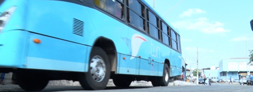 Saiba como vai funcionar o novo sistema integrado de transporte público da Turi