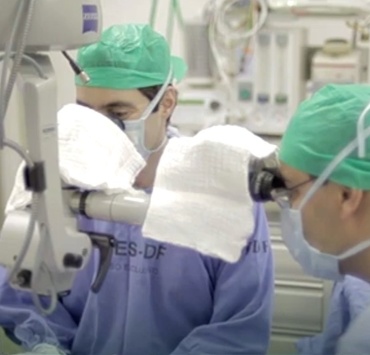 Câmara Municipal aprova Semana Municipal de Conscientização sobre Doação de Órgãos