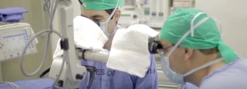 Câmara Municipal aprova Semana Municipal de Conscientização sobre Doação de Órgãos