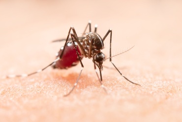 Famílias de crianças com deficiência por zika podem pedir indenização até outubro