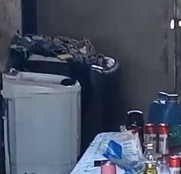 Polícia Militar apura caso de maus-tratos contra cachorro em São José da Varginha