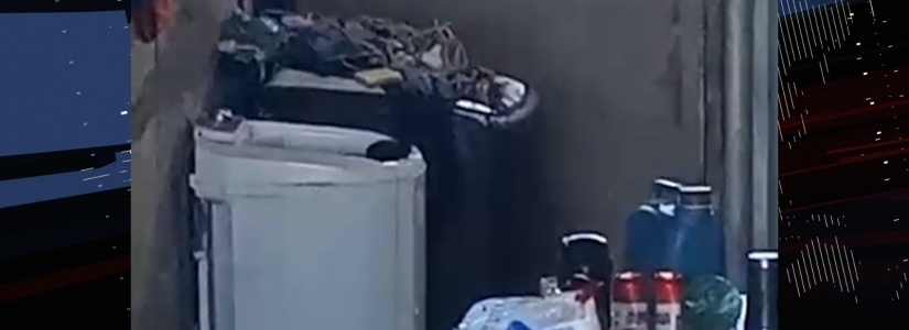 Polícia Militar apura caso de maus-tratos contra cachorro em São José da Varginha