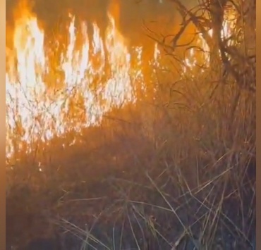 Serra das Torres é alvo de grande incêndio e dificulta trabalho dos brigadistas