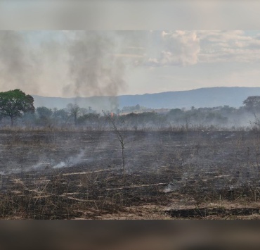 Corpo de Bombeiros combate incêndio em vegetação em Pequi